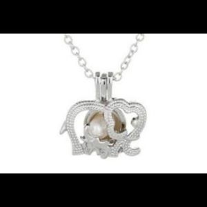 Mom and Baby Elephant